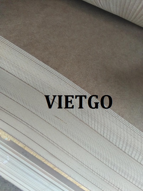 go-thong-xe-vietgo-ethiopia